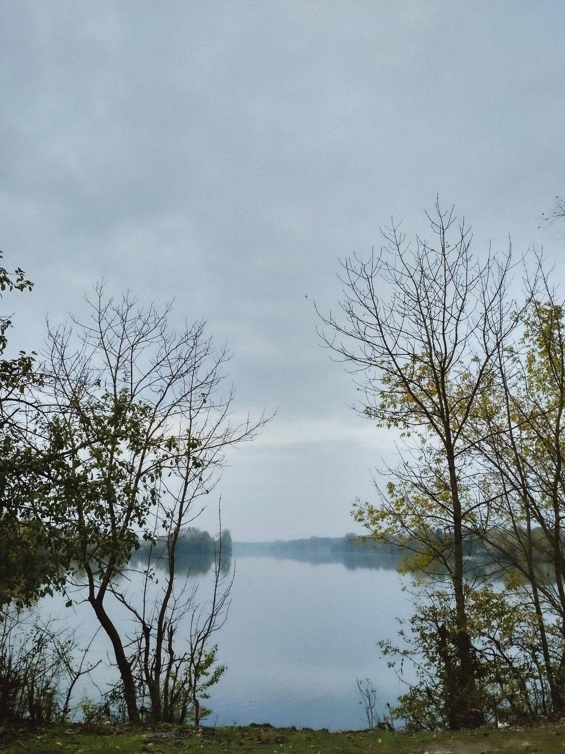 Photo #5198224