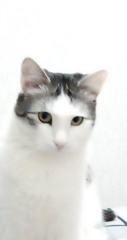 Photograph by Наталия Глущенко