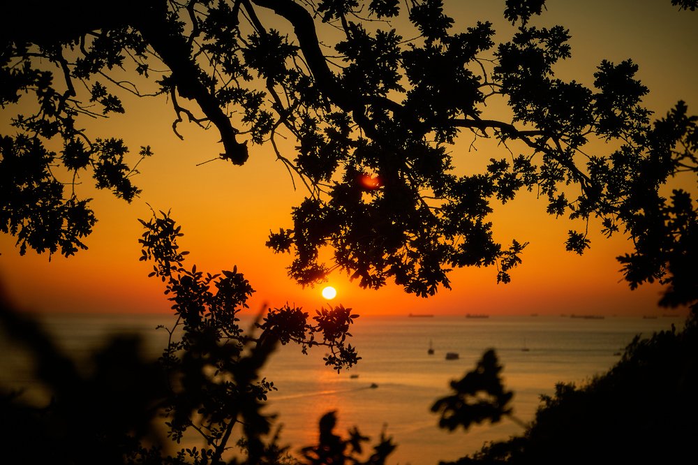 Photograph by Денис Григорьев