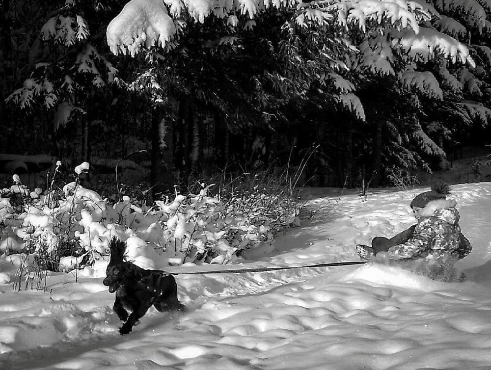 Photograph by Ирина Плотникова