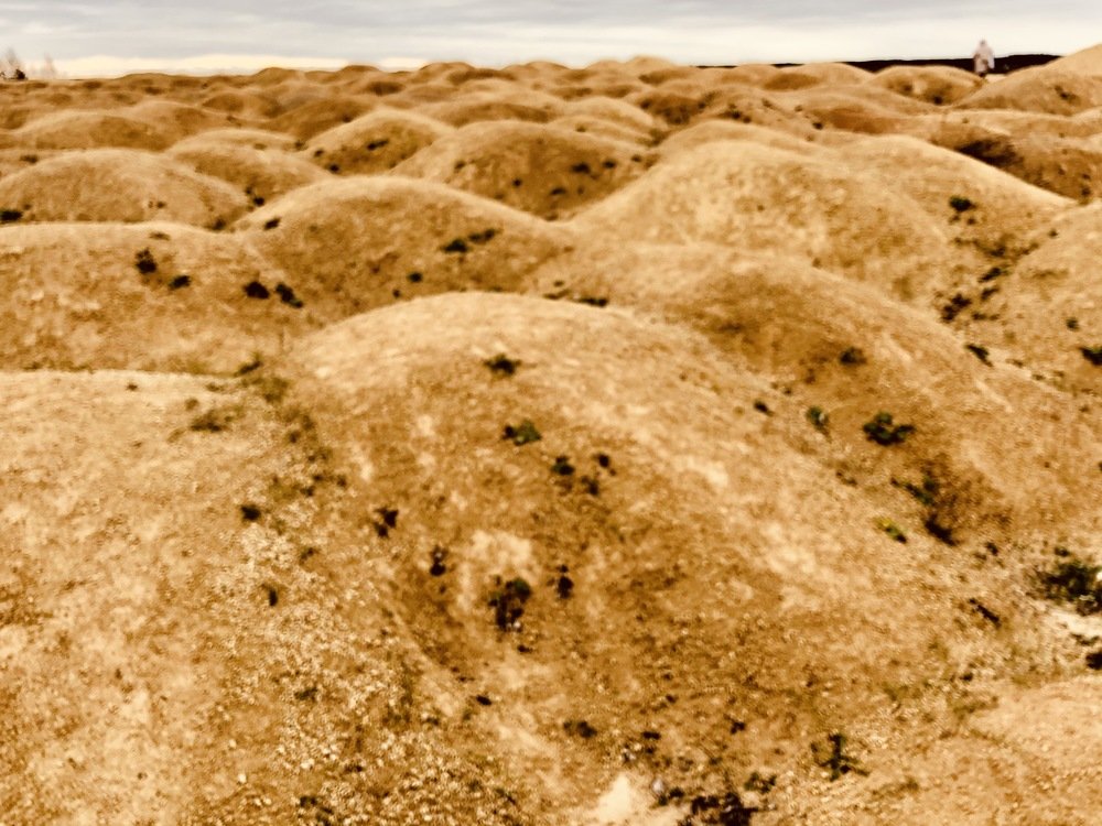 Photograph by Olga Oginskaya