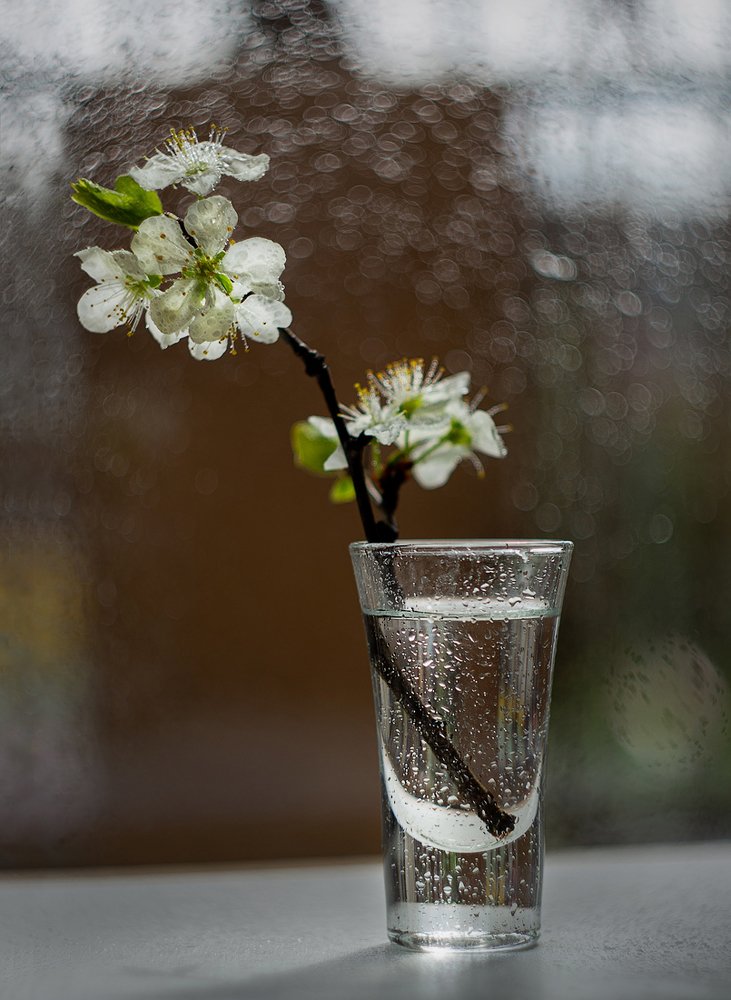 Photograph by Андрей Бурда