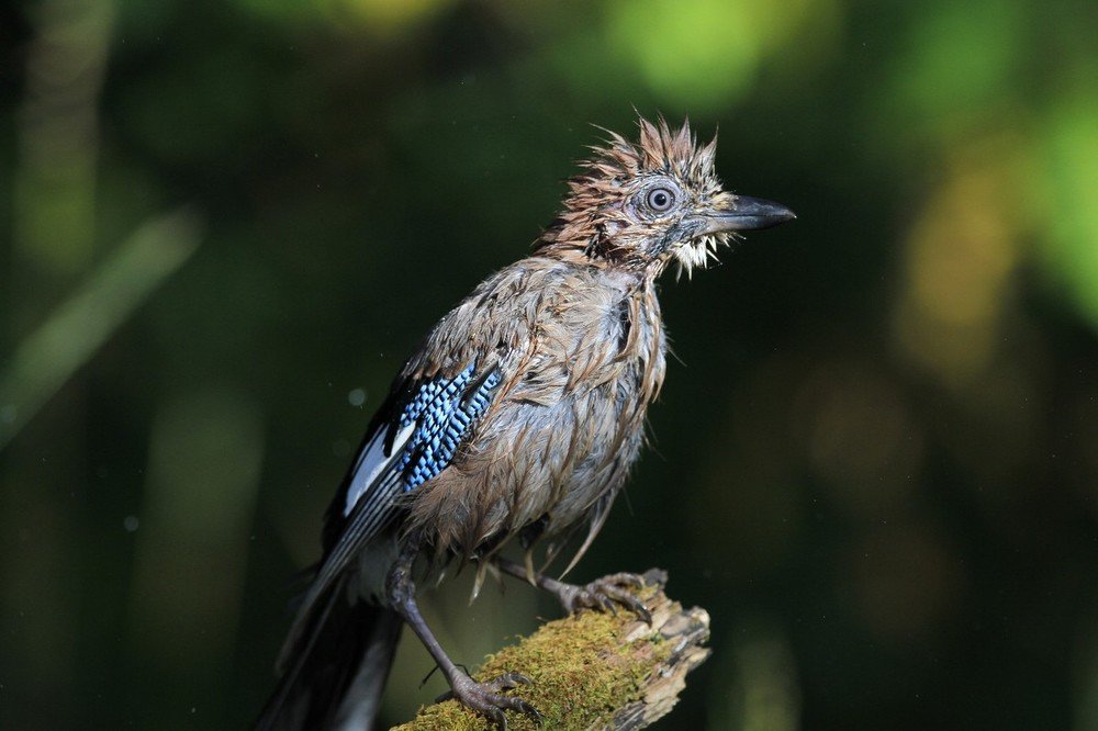 Photograph by Елена Куликова