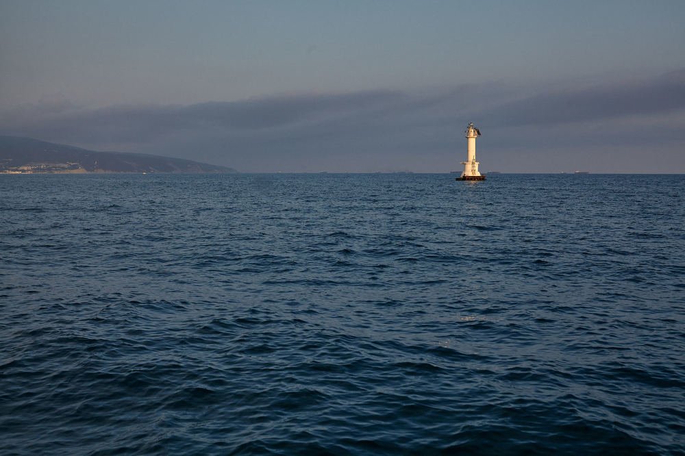 Photograph by Дарья