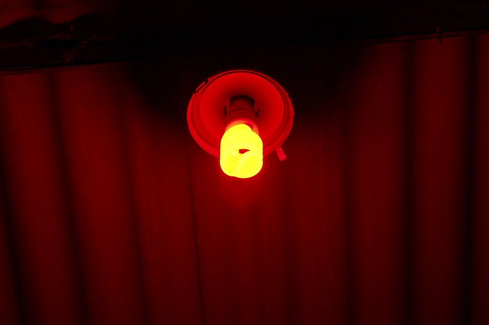 Photograph by Андрей Хитрун