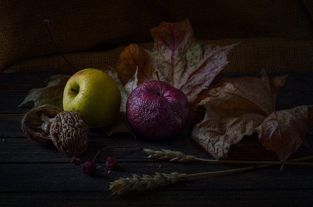 Photograph by Андрей Бурда