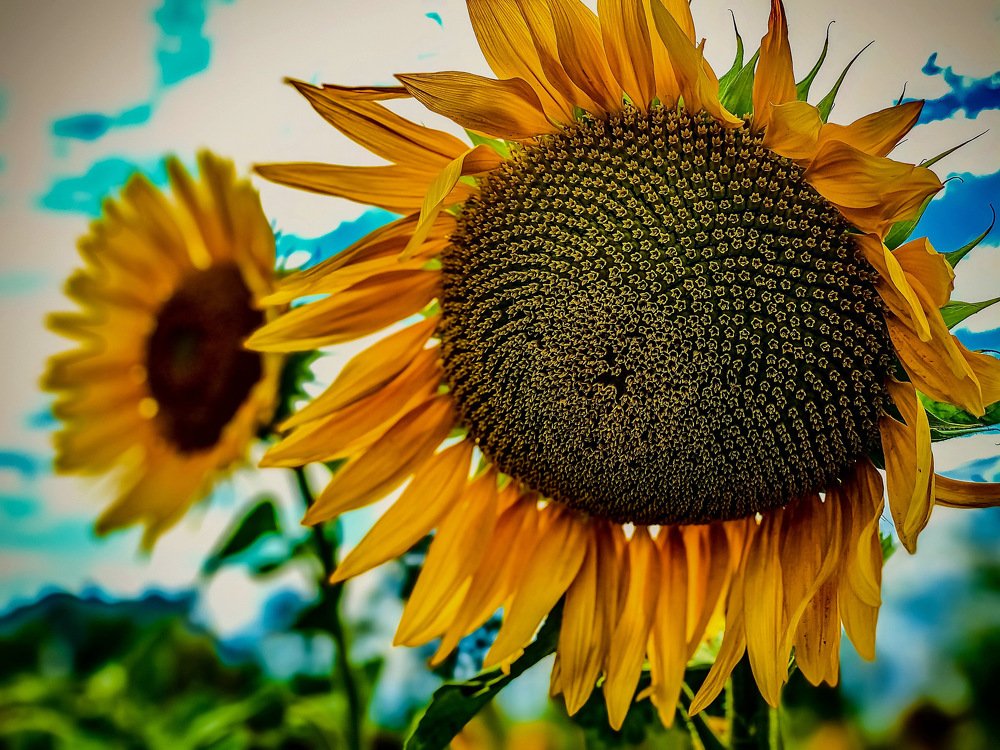 Photograph by Сергей Марченков