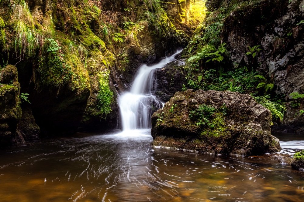 Photograph by Fjfjeh