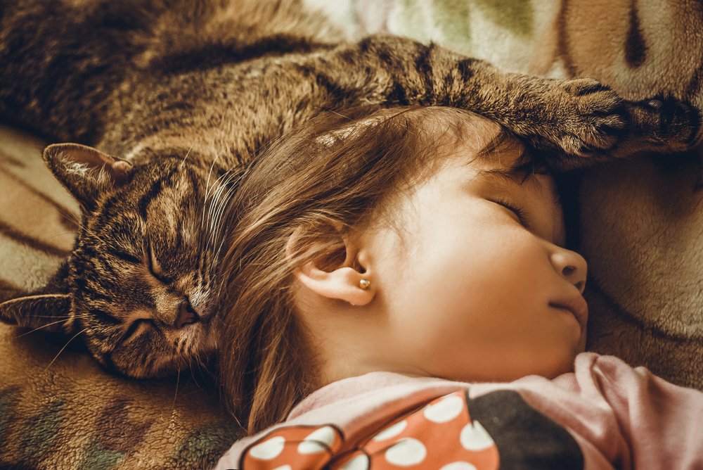 Photograph by Лариса Максименко