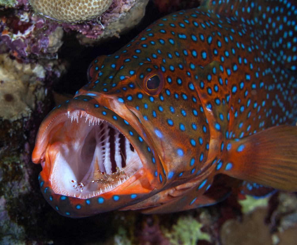 Photograph by Юрий Перевозников