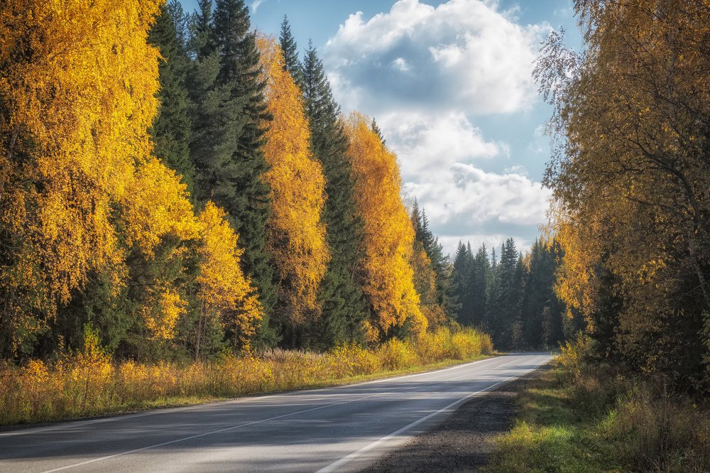Осенняя палитра