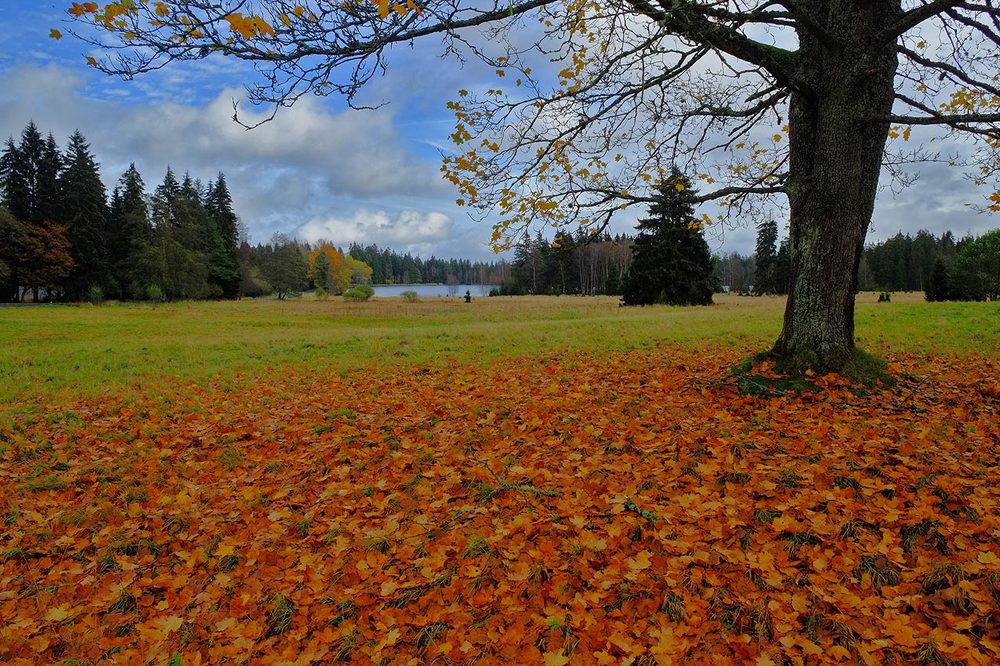 Фотография автора David Solodar