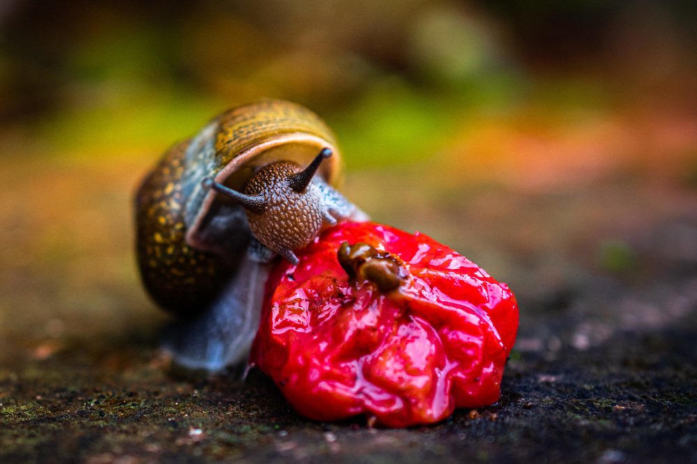 Photograph by Debs Rosales Alberto