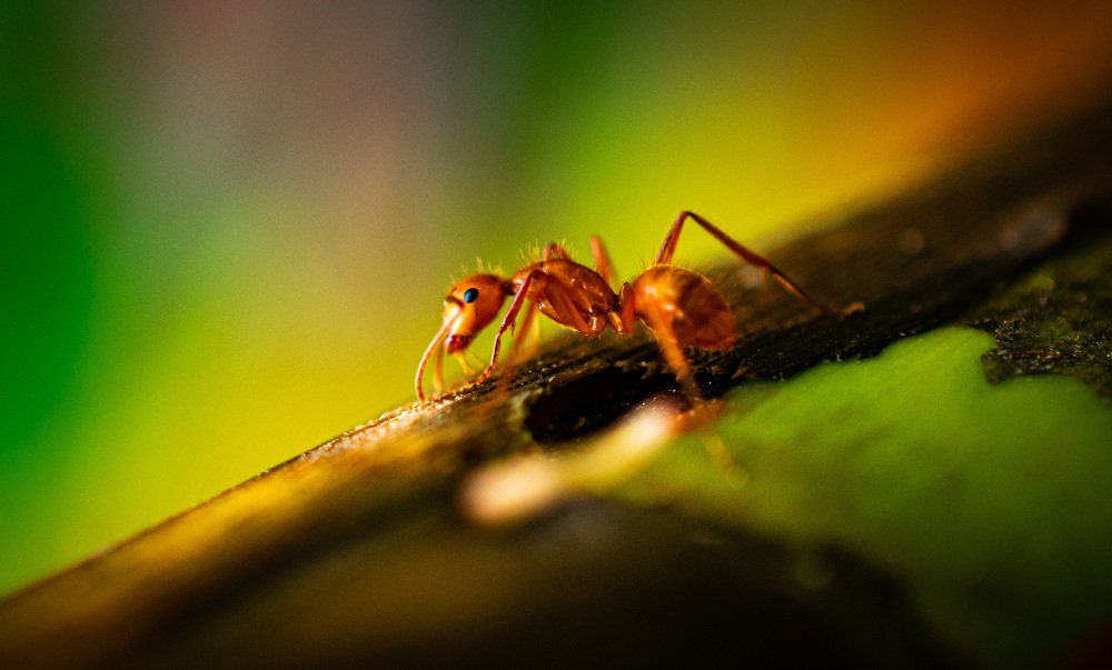 Photograph by Debs Rosales Alberto