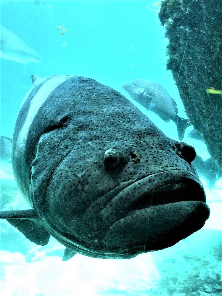 Photograph by Галина