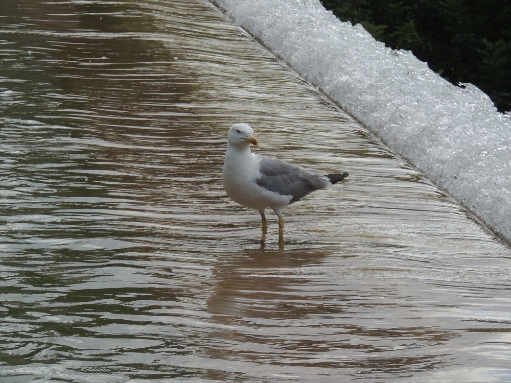 Photograph by Савва Конохов