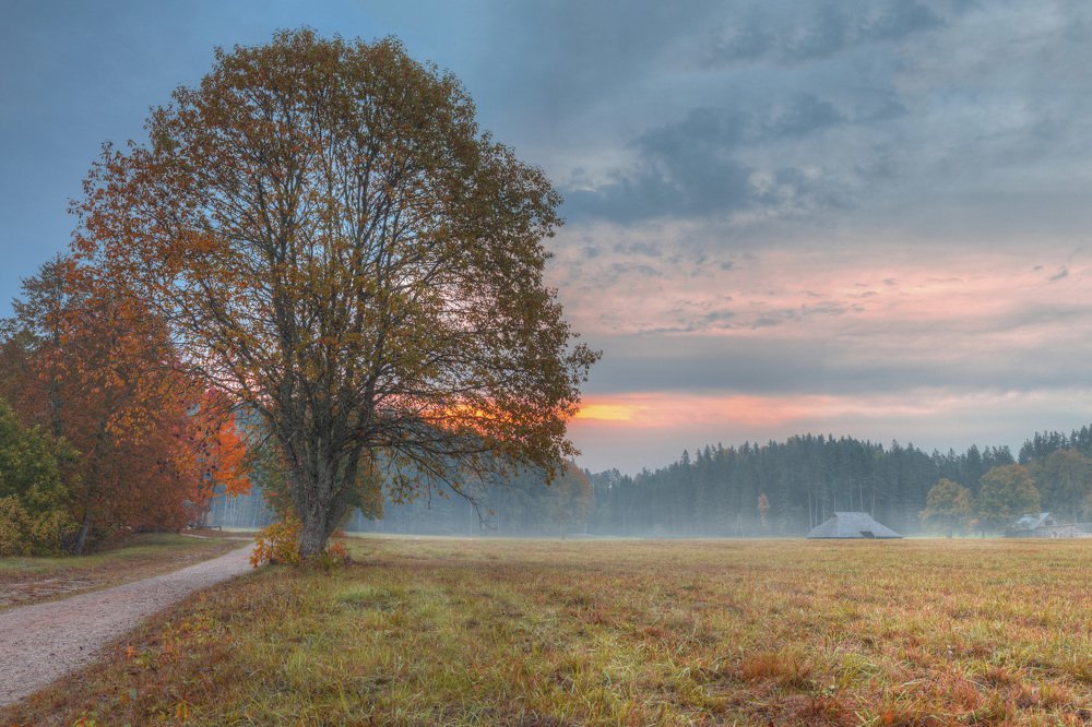 Photograph by Juris Kraulis