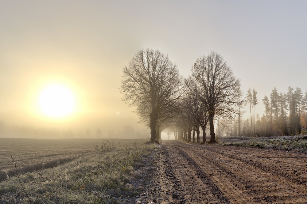 Photograph by Juris Kraulis