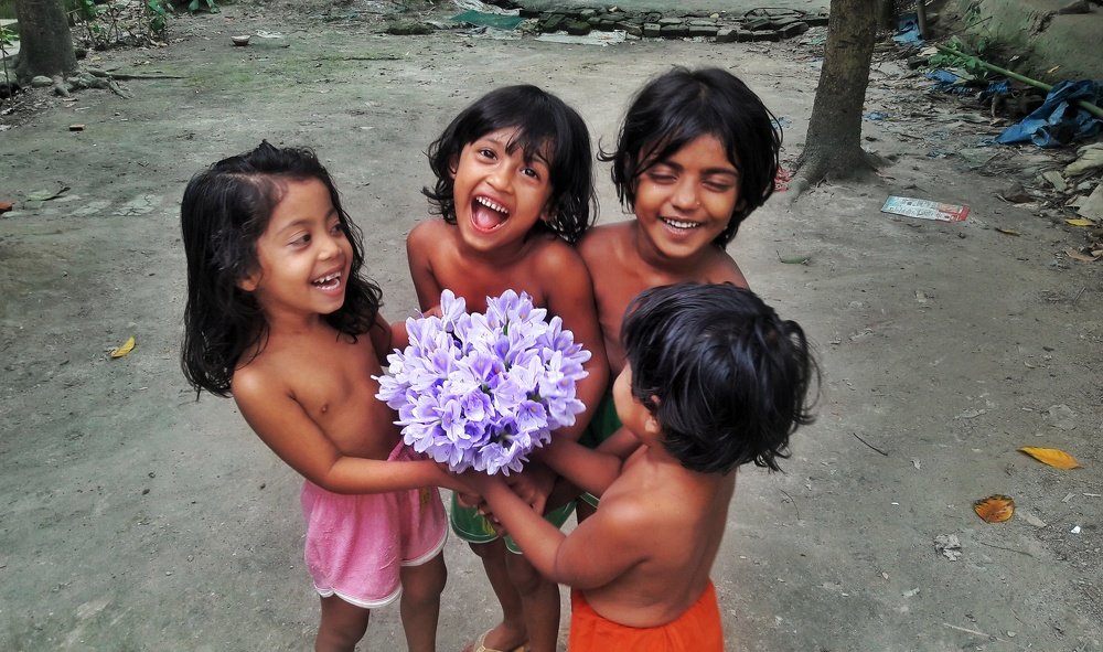 Photo #5198784