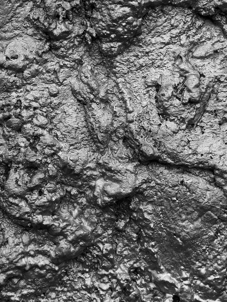 Photograph by Ирина Никулина