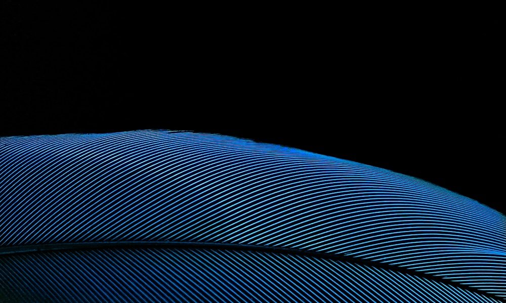 Photograph by Евгения Князева