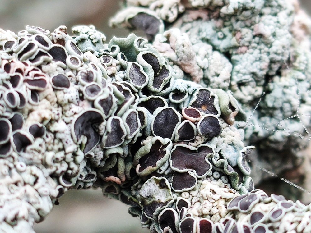 Photograph by Евгений Артемьев