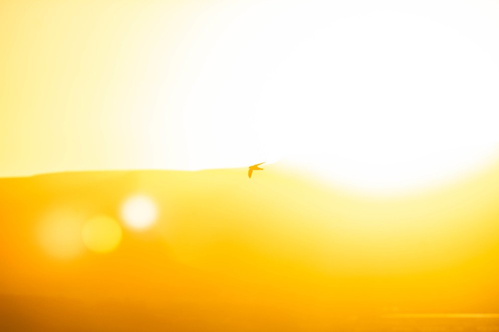 Photograph by Матвей Иванов