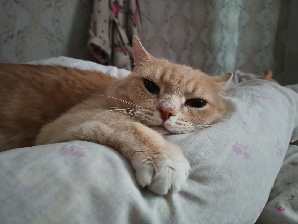 Фотография автора Александр Осинцев