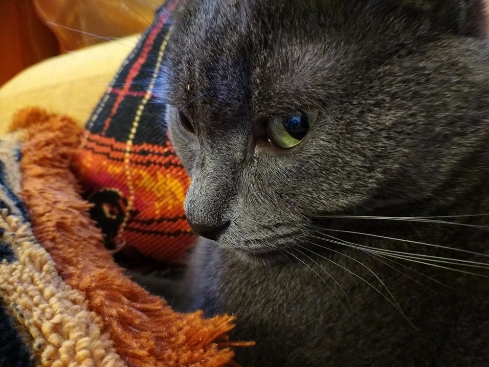 Photograph by Наталья Стальмакова