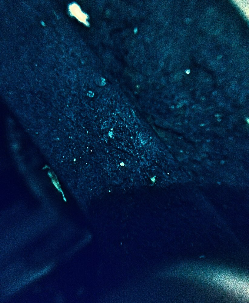 Photograph by Marcos Emanuel