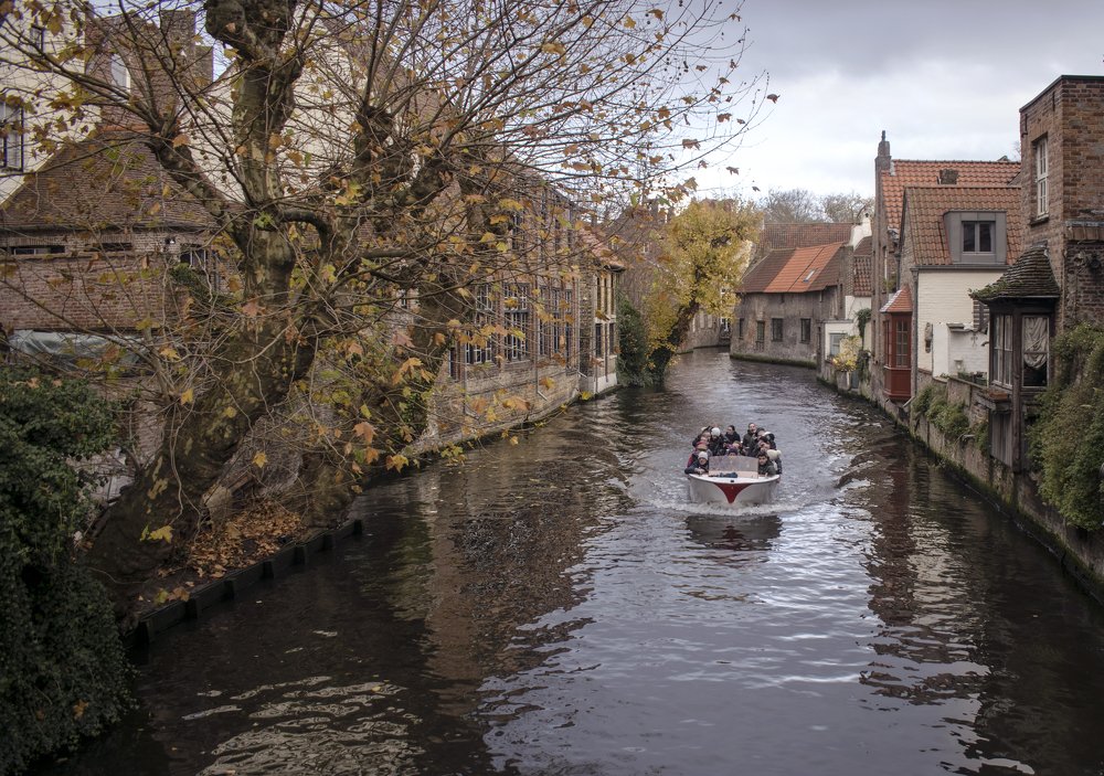 Фотография автора Sherine El Mously