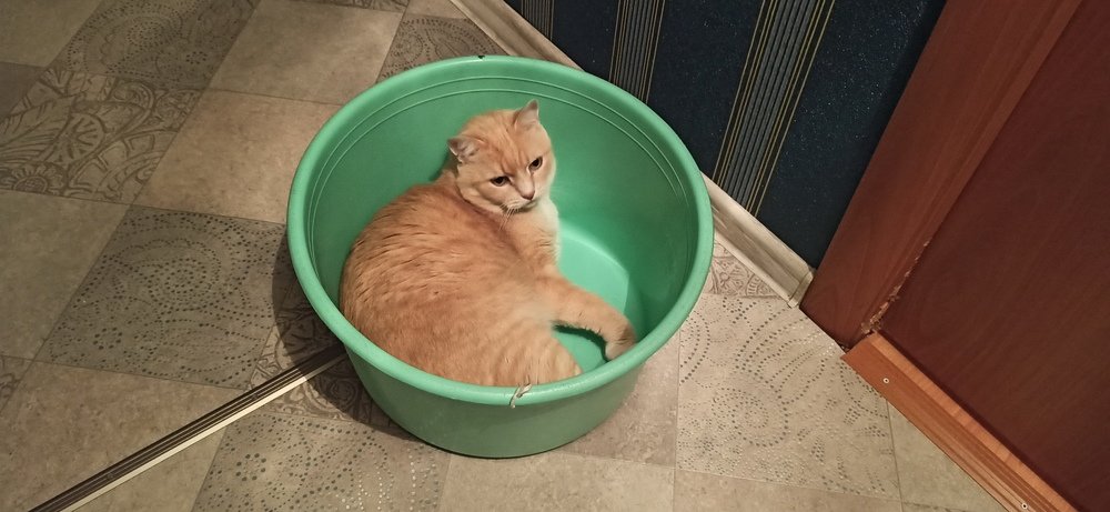 Фотография автора Александр Осинцев