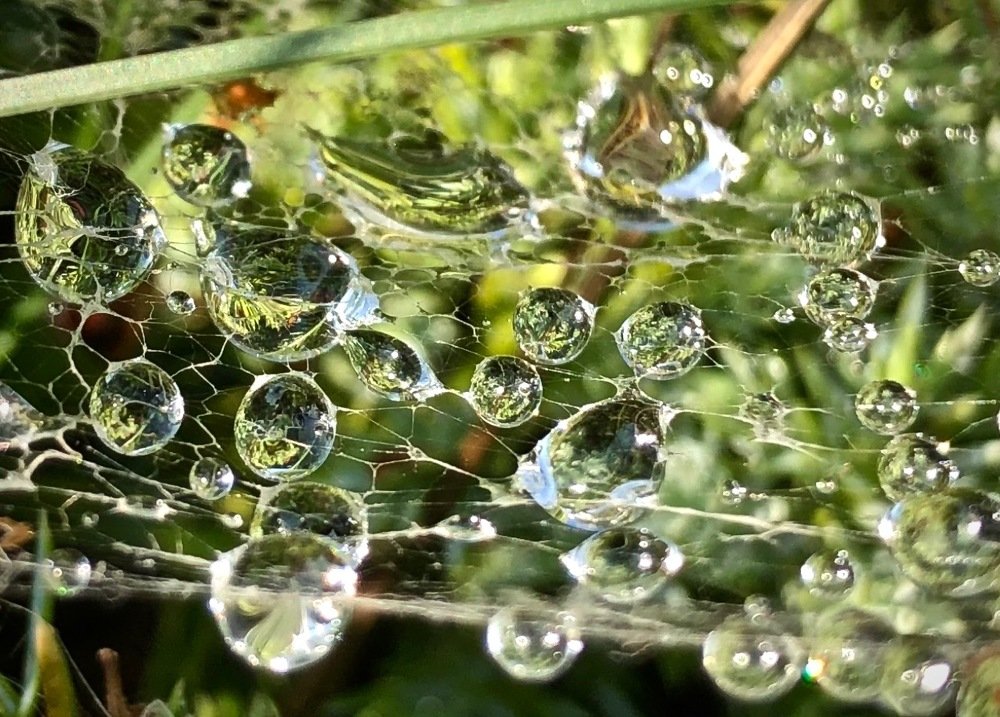 Photograph by Наталья Гладкая