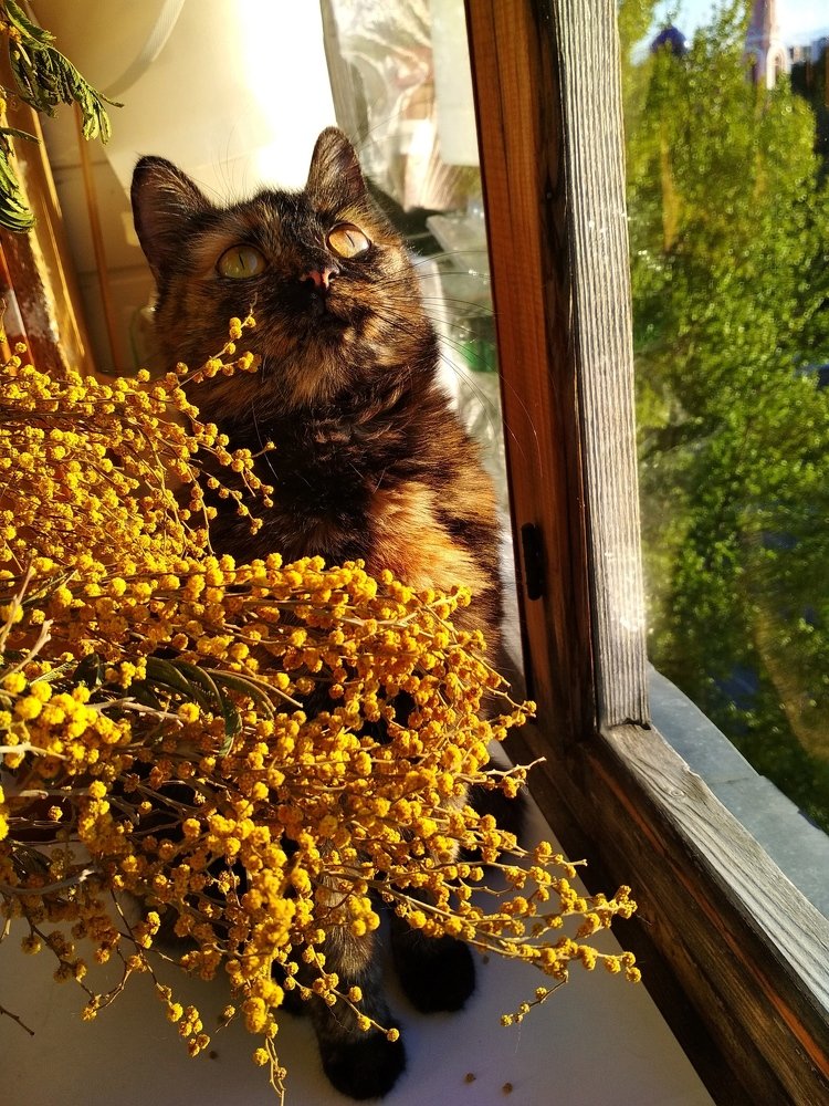 Photograph by Наталья Стальмакова