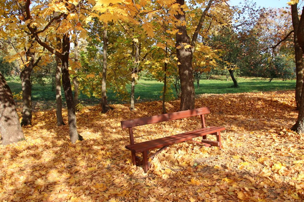 Photograph by Наталья Стальмакова