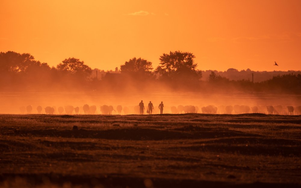 Photograph by Кобец Дмитрий