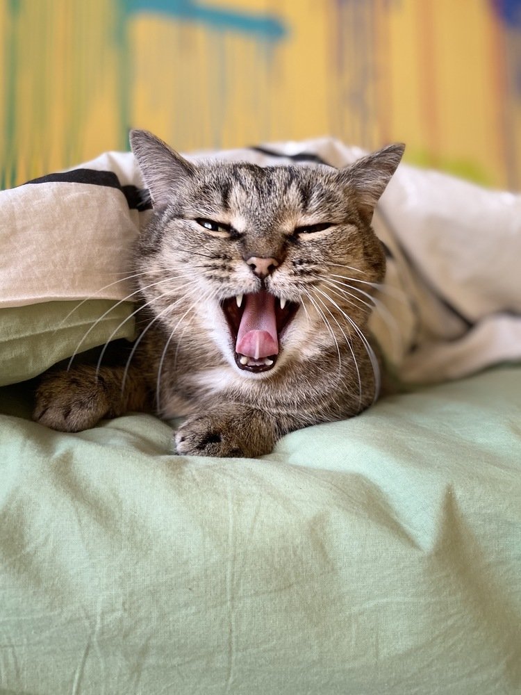 Photograph by Елена Клочкова