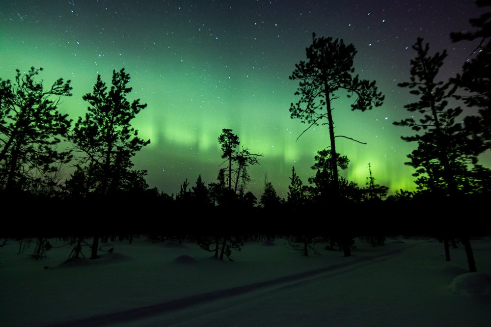 Однажды ночью...