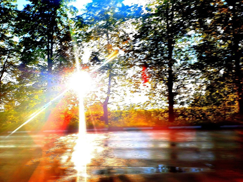 Многоцветие в лучах заходящего солнца