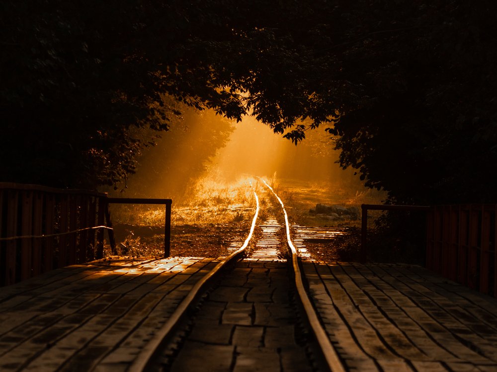 Photograph by Кобец Дмитрий