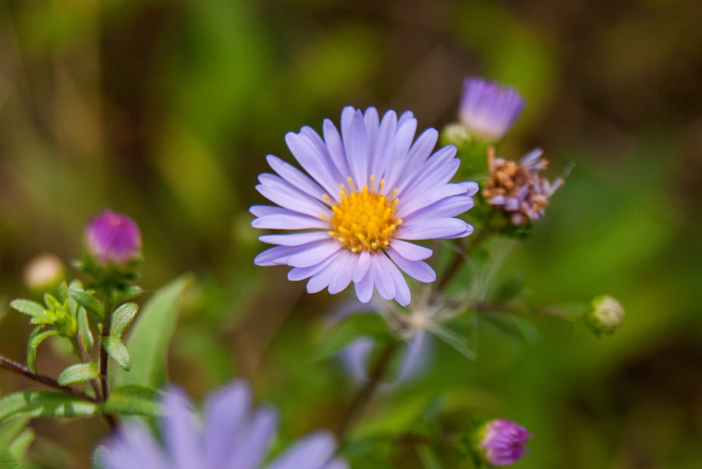 Photograph by Денис Геранькин