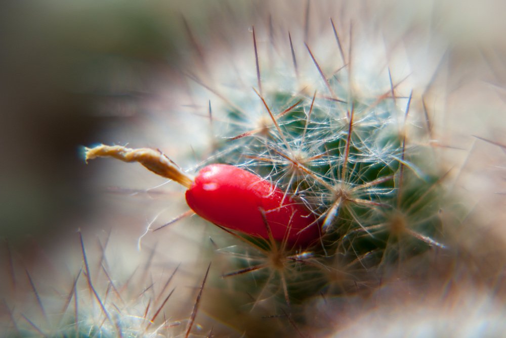 Photograph by Денис Геранькин