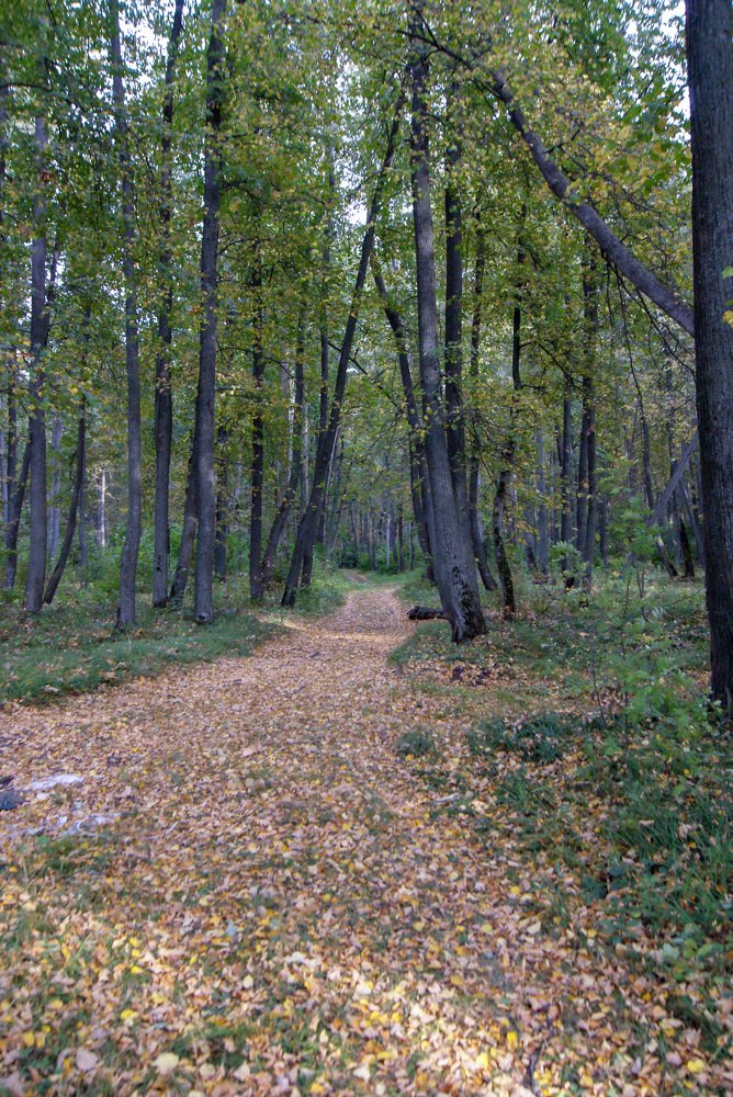 Photograph by Денис Геранькин