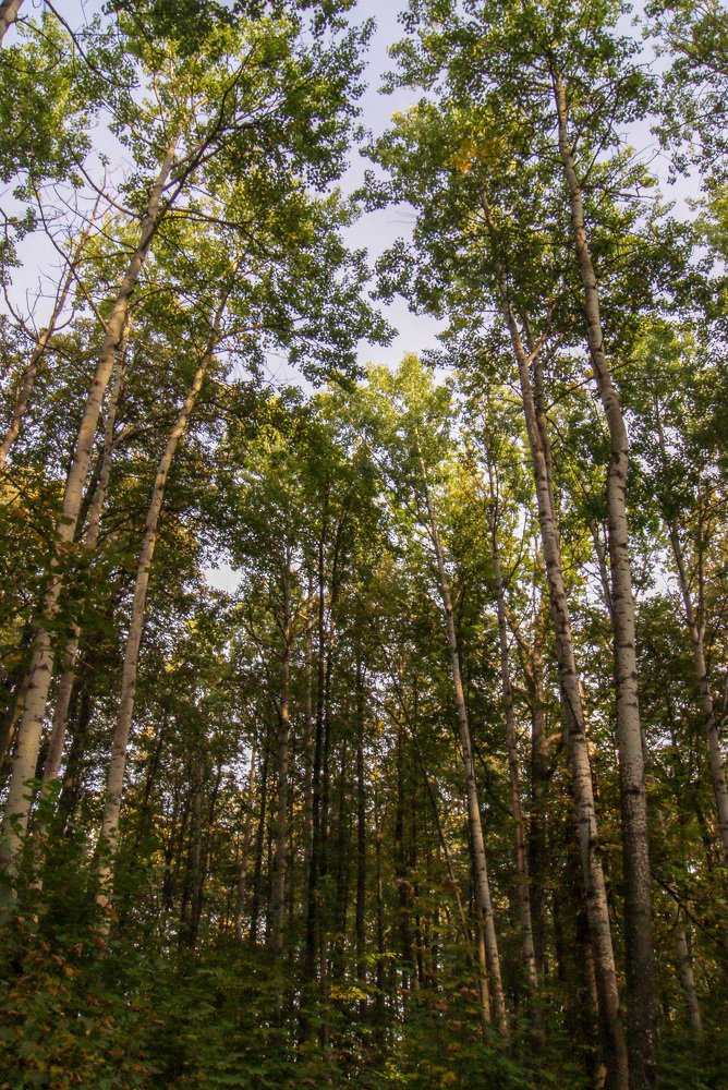 Photograph by Денис Геранькин