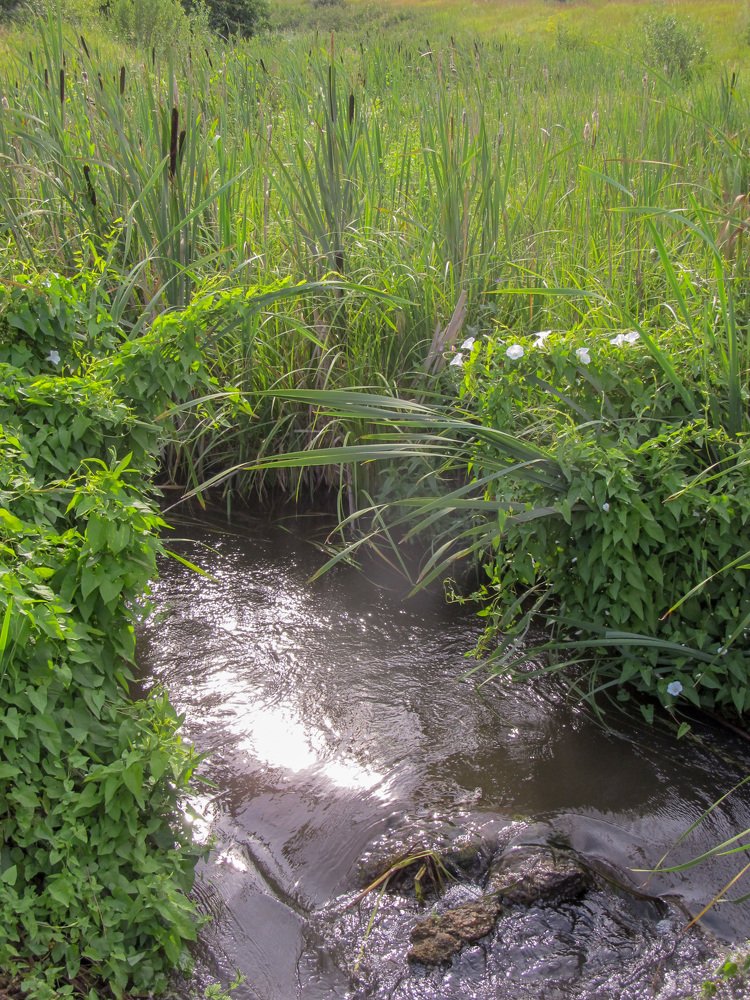 Photograph by Денис Геранькин