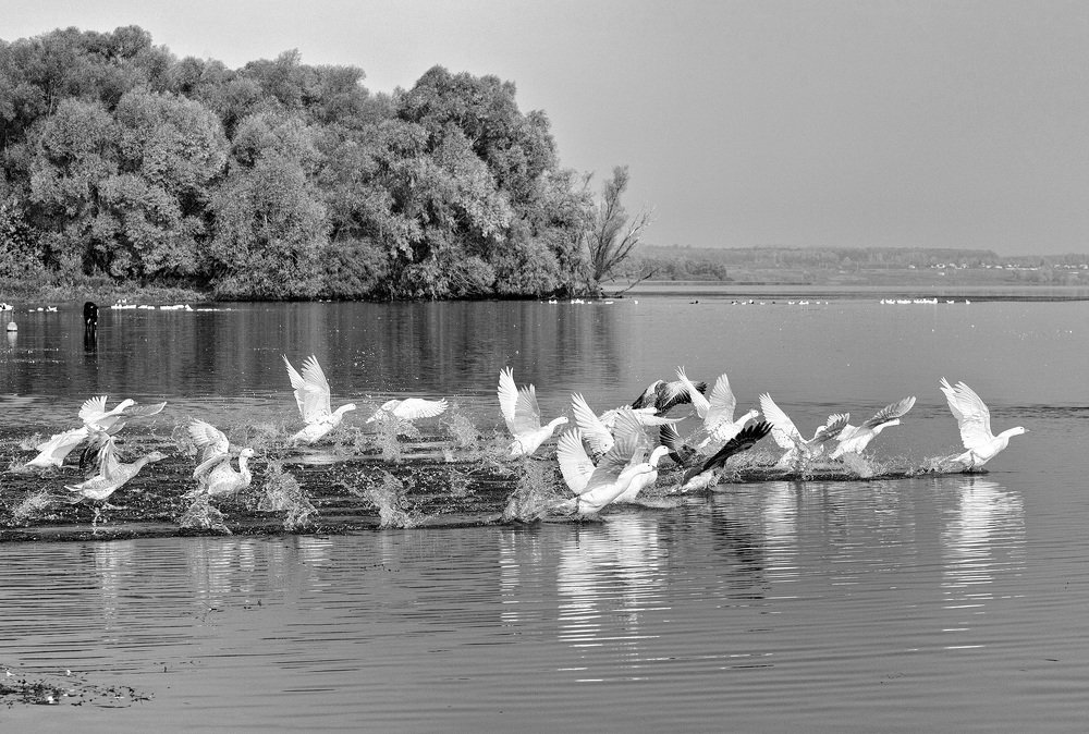 Photograph by Тамара Андреева