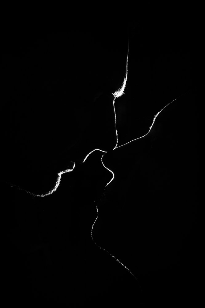 Photograph by Антон Журавлев