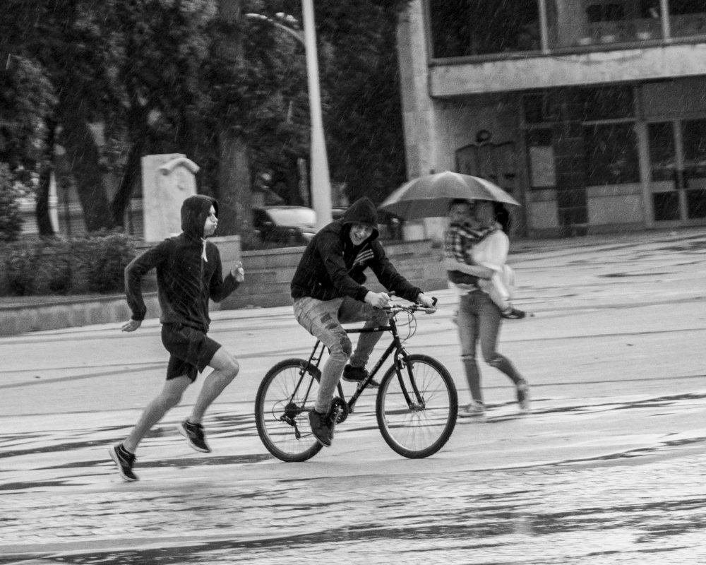 Photograph by  Dimitar