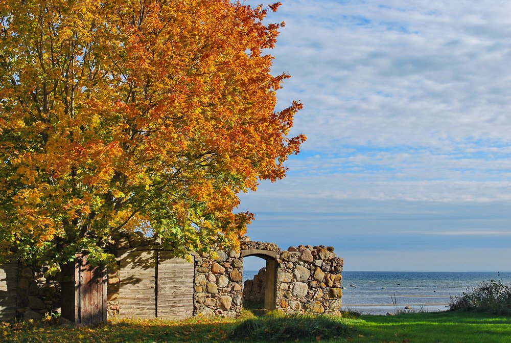 Photograph by Вадим Шадрунов