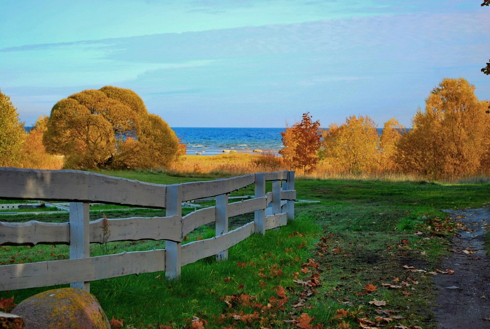 на морском побережье